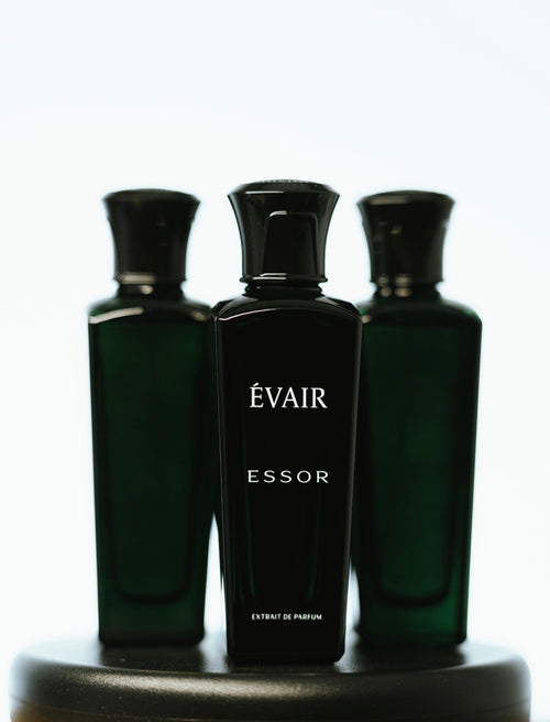 Essor